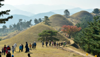 세계유산 ‘고령 지산동 고분군’ 최대 규모 5호분 재발굴